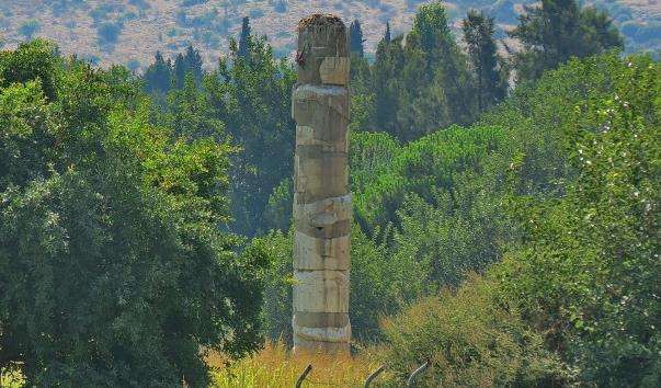 Храм Артеміди у Ефесі