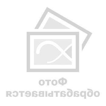 Лев святого Марка