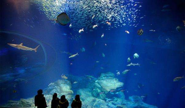 Акваріум Aquaworld