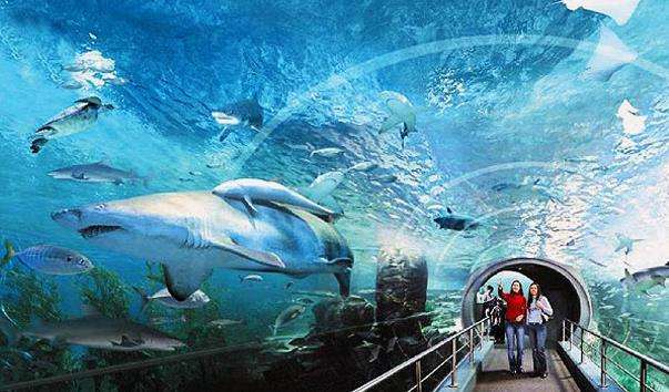 Океанаріум Siam Ocean World