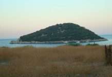 Черепашачий острів Дальян