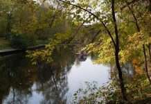 Парк Сокільники