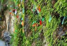 Водоспад «Дівочі сльози»