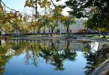 Чисті ставки