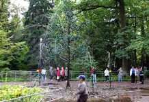 Комплекс фонтанів Дубок