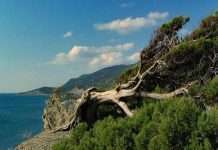 Заповідник Великий Утриш