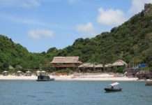 Острів Мавп