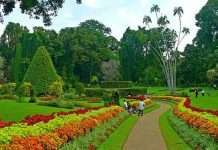 Королівський Ботанічний сад