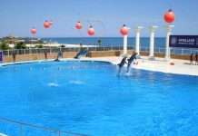 Дельфінарій Sealanya