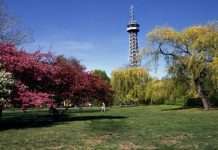 Петршинская вежа