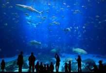 Океанаріум «Підводний світ Винперл»