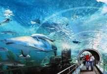 Океанаріум Siam Ocean World