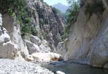 Каньйон Гейнюк