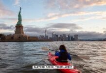 Кредитные карты премиум-класса: максимизация вознаграждений в первый год