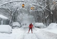 Зростання Перебоїв у Подорожах: Від Метелів до Насильства Картелей, Авіакомпанії Адаптуються