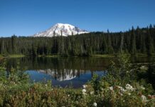 Національні парки скасовують вимоги до бронювання на 2026 рік