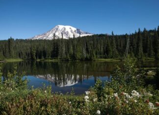 Nationale parken Drop-reserveringsvereisten voor 2026