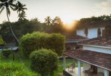 Рідкісна Індія Прискорить Розвиток Технологій та Прямих Продажів Під Управлінням Samhi