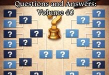 Все і відразу: Питання та відповіді, випуск 40 – Швидкість, ніші та ІІ