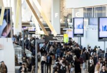 Хаос в Авіаперельотах США: Затримки, Наслідки Закриття та Проблеми Безпеки