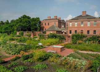 Cinematic North Carolina: A Traveler’s Guide to the State’s Iconic Film Locations