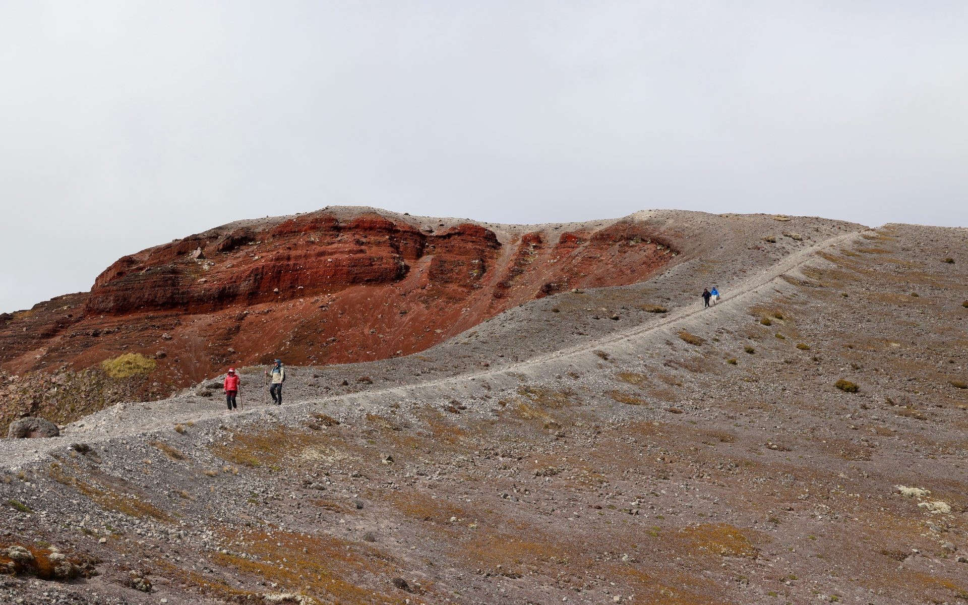 2ddafc40-12b9-42bc-9c04-41226f1f658b