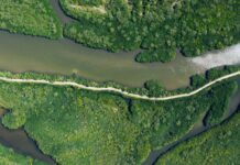 Річка як шрифт: як Амазонія створює свій бренд