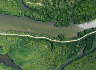 Река как шрифт: как Амазония создает свой бренд