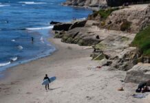 Притягательность побережья и величие секвой: путеводитель по Санта-Круз на выходные