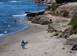 Coastal Charm and Redwood Giants: A Weekend Guide to Santa Cruz