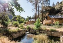 Від епохи «сухого закону» до французького глемпінгу: відродження Paradise Springs