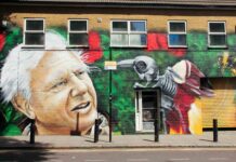 The Century-Long Legacy of Sir David Attenborough: Voices from Those Who Worked With Him