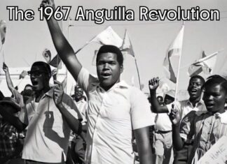 The Revolution To Stay British