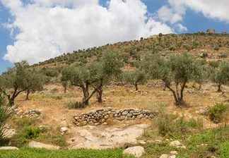 Pianificare un viaggio in Palestina: dove la storia incontra il conflitto