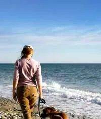 Essentiels de voyage pour animaux de compagnie : le guide d’emballage ultime pour les propriétaires de chiens