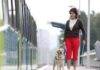 Stai pianificando un viaggio? Ecco le leggi sui viaggi con animali domestici che devi conoscere