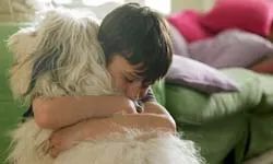 Jak podróżować, nie zostawiając zwierzaka w pieczy zastępczej