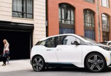 Коли спільне використання автомобілів і домашніх тварин збігаються